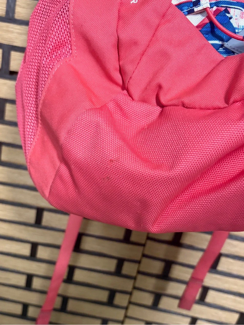 The North Face Coral And Blue Jester Backpack